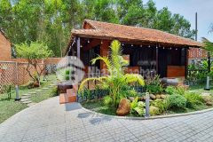 Đất vườn củ chi giá rẻ đường đặng thị tô trung lập hạ 524m2 1ty227 shr công chứng ngay