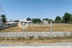 Đất vườn củ chi giá rẻ ngộp mùa dịch đường ba sa 500m2 1ty2 shr công chứng ngay