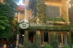 Chính chủ cần bán gấp căn biệt thự 400m2 ở phố đội cấn ba đình chỉ hơn 80trm2