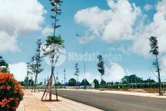 Chính chủ chuyển nhượng lô đất full thổ cư tại phường tân an.