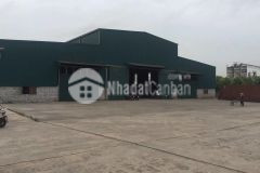 Cho thuê nhà xưởng 2700m2 kinh môn hải dương