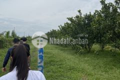 Đất vườn củ chi giá rẻ, shr, 500 1000m2, chỉ từ 1.6trm2. lh0779006219.