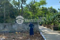 Mua bán đất nền quảng trị. đất nền giá rẻ chỉ 2xx