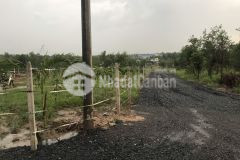 Bán đất sổ chung giá 300tr lô 100m2, thuộc phường long bình, biên hòa, đồng nai