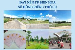 Đất thổ cư phường an hòa giá rẻ, xây dựng tự do.