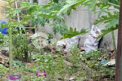 Lô đất đẹp sót lại dt 59m2, mt 4,9m, nở hậu, giá 3,65 tỷ