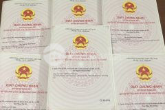 Vị trí đường nguyễn trung trực, phường