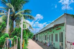 Đất tân hưng tân châu tây ninh giá 600 tr cách nhựa 50 m