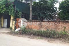 Dịch bệnh này mua đất chỉ có giá rẻ thôi