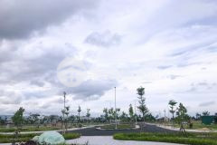 Cần bán đất trung tâm thị xã đức phổ