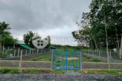 Bán nhanh lô đất làm nhà vườn ở xã nhuận đức củ chi,850m2 giá 2 tỷ 4