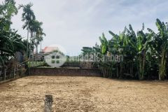 Mở bán 7 lô liền kề, xây nhà vườn khá hợp lý, chỉ 3xxlô gần hơn 700m2