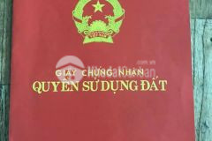 Đất siêu hiếm vừa tiền ngọc lâm long biên, 42m mt 5,6m,giá 1,9 tỷ.