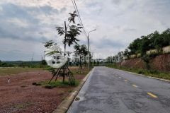 Mua bán đất đông hà quảng trị.nam đông hà giá bán lỗ,