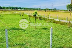 Chủ gửi bán nhanh lô đất vườn ngộp tân thạnh đông, củ chi 637m2 giá rẻ 1ty384 shr