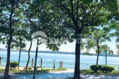 Nhà mặt phố nguyễn đình thi mặt hồ tây, 93m2, mặt tiền 12m, thoáng sau, giá 65 tỷ