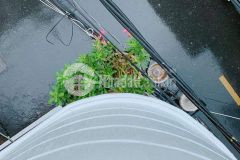 Mặt tiền, lô góc, 3 tâng btct, kinh doanh, ngô thời nhiệm, phú nhuận