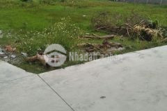 Bán lô đất đẹp làm nhà vườn phước vĩnh an 720m2,sổ hồng riêng,giá 2 tỷ 600 triệu.