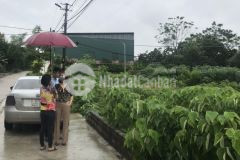 Chỉ 2,5trm2 có ngay lô đất 954m2 tại yên bài ba vì hà nội, 2 ô tô chánh