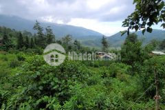 Bán mảnh đất làm homestay vew thung lũng tại phìn hồ, y tý sapa2