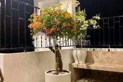 Chính chủ bán đất đẹp an dương 35m2, mt 4m chỉ 510 tr. lh 0983927117.