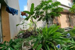 Bán đất dv vạn phúc, 50m2, view vườn hoa, công viên, hồ nước rất đẹp, giá 6.1 tỷ