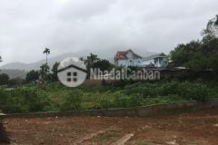 Của hiếm 989m2 tại yên bình giá chỉ 3 triệum2 siêu lợi nhuận