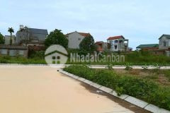 Chính chủ bán 82 m2 sở đông, long hưng, văn giang, hưng yên cạnh đh bách khoa 2, vpf