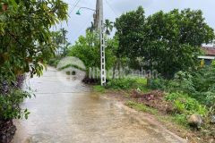 Cần bán lô đất hơn 500m2 gần tỉnh lộ 624 xã hành thuận