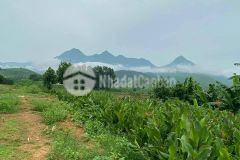 Cực hot chỉ 2 tỷ sở hữu ngay 3600m2 đất minh quang view núi ba vì