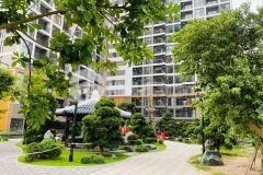 Bán cắt lỗ 3 căn studio vin ocean park thang toán trước 245 triệu