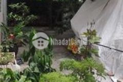 Gấp nhà mặt phố đồng cổ tây hồ 80m2x2t, mt 7m, vuông đẹp, chỉ 13.6 tỷ.