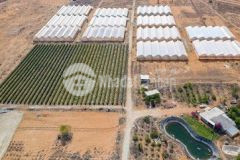 Chính chủ cần tiền xoay sở mùa dịch bán gấp lô đất 6396m2 xã phan thanh bán giá chỉ 669tr