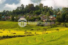 Hơn 300m2 đất trung tâm y tý có trích đo huyện an toàn đầu tư