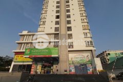 Cần cho thuê căn hộ the avila, quận 8, diện tích 50m2, 1pn, 1wc