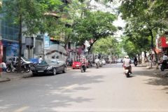 Mặt phố vip ngọc lâm,kinh doanh đỉnh ngày đêm,vỉa hè rộng sổ đẹp