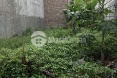 Nguyễn văn linh long biên đất đẹp vị trí đỉnh ô tô 7 đỗ t.số vàng 60m2 mt5m chỉ hơn 3tỷ