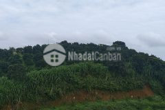 Cần bán lô đất vị trí đắc địa, lợi nhuận tăng từng giờ tại mộc châu