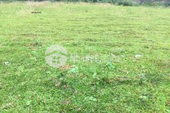 Bán gấp 200m2 đất tại tái định cư đhqg,mặt đường đôi, đã có sổ