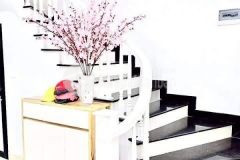 Phân lô tố hữu, 55m2, 4 tầng lô góc, vỉa hè ô tô tánh, kinh doanh.