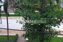 Căn hộ chung cư178 3 pn quận nk