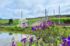 Đất lộc tân, bảo lộc, lâm đồng dt 242m2, giá 1ty890