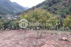 Bán đất mộc châu gần thác dải yếm, có sẵn 400m thổ cư