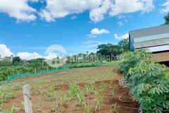 Mua bán nhà đất tại quảng trị, đất đầu tư giá rẻ hải thái gio linh