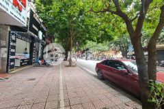 Nhỉnh 10 tỷ có ngay nhà mặt phố ngọc lâm kinh doanh vô đối dt55m, mt4m, lh 0987729335