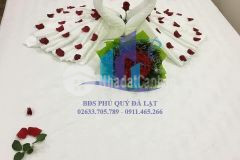 Khách sạn 2 mặt tiền giá 9,5 tỷ phường 8 tp đà lạt. giá 9,5 tỷ còn thương lượng88 mv