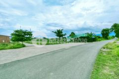 Bán đất mặt tiền thành hồ diên phước