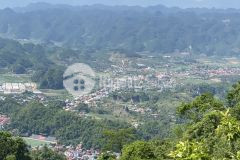 Cần bán đất tại mộc châu diện tích hơn 8ha thích hợp làm homestay, nông trại