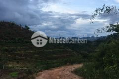 Bán 40.000m2 đất nền tại mộc châu thích hợp đầu tư các trang trại, homestay