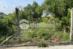 Bán đất đường nhánh dx124, p.tân an, thủ dầu một, bình dương